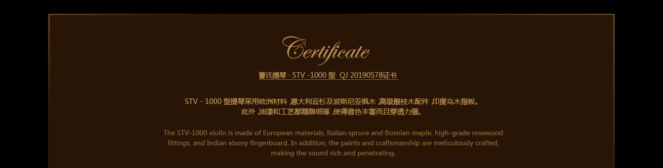 STV-1000 STV-1000
