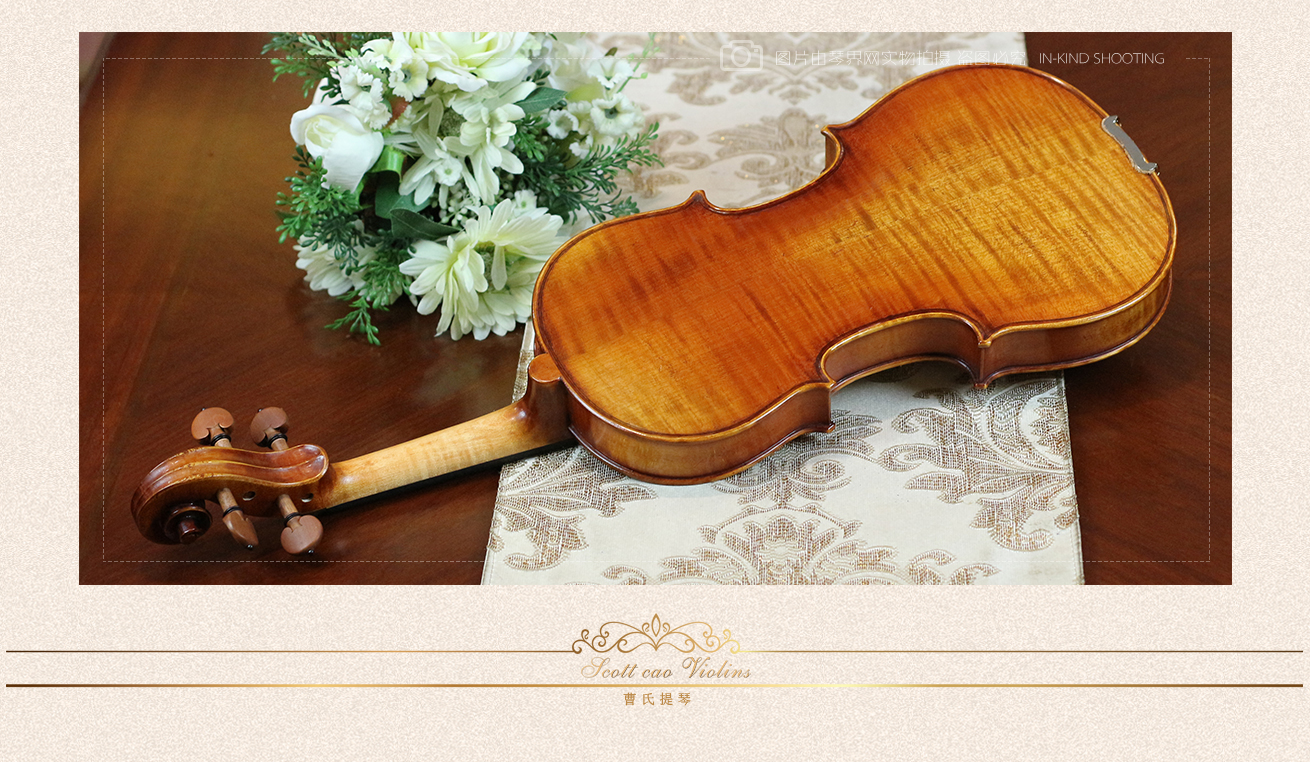 STV-900 Copy of Strad 1716 演奏级小提琴 STV-900 Copy of Strad 1716 演奏级小提琴