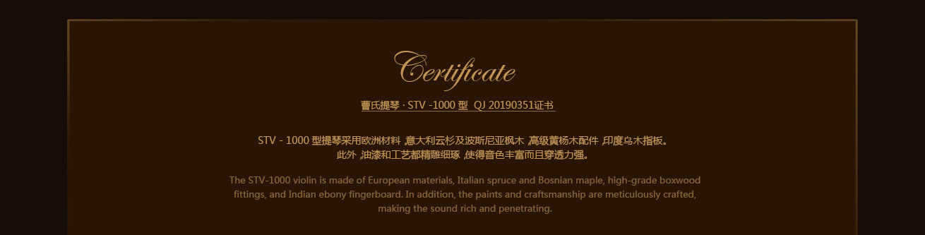 STV-1000 STV-1000