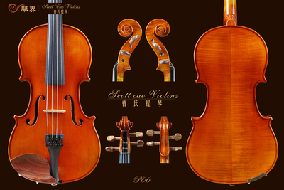 初学入门小提琴 STV-P06 