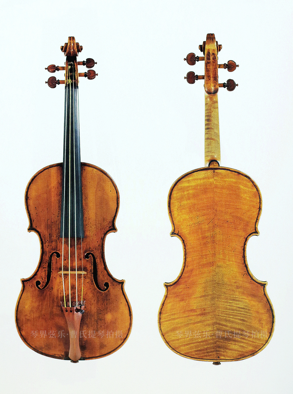 世界上最贵的提琴价值多少？
